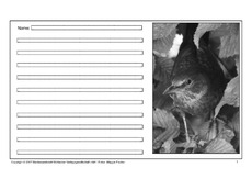 Amsel-eigene-Texte-SW.pdf